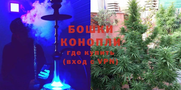 хмурый Осинники